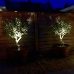 Solar LED prikspot Accent – RVS tuinspot met grondspies, Tuin en Terras, Buitenverlichting, Verzenden, Minder dan 50 watt, Staande lamp