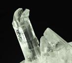 Edelheldere selenietkristallen van Famous Naica-mijn -