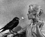 Philippe Halsman (1906-1979) - Tippi Hedren. Hollywood, Los