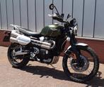 Op zoek naar een Triumph ??, Motoren, Motoren | Triumph