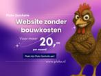 Laat zien dat je zelfstandig bent maak een  Ploko Quicksite, Domeinregistratie