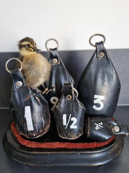 Standard trade weights (5) Kunst en ambachten - Nederland -, Antiek en Kunst, Curiosa en Brocante