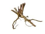 Driftwood Selected  DW45- 38x30x23m (Small drift wood), Dieren en Toebehoren, Vissen | Aquaria en Toebehoren, Ophalen of Verzenden
