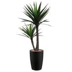 Yucca kunstplant, H200cm, Huis en Inrichting, Kamerplanten, Ophalen of Verzenden