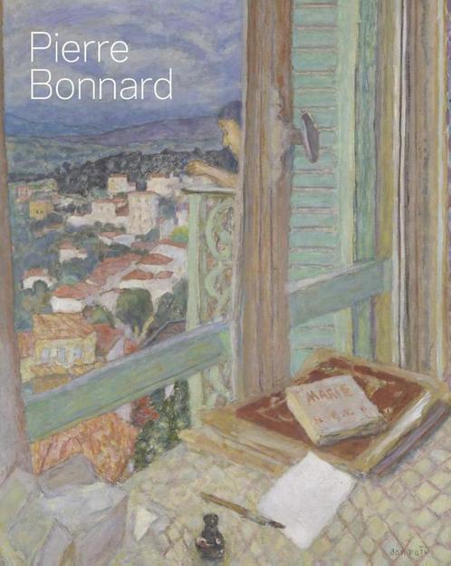 Pierre Bonnard 9781849766180 Juliette Rizzi, Boeken, Overige Boeken, Gelezen, Verzenden