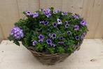 Rieten mand zomerbloeiers paars/blauw dia. 30 cm - Warentuin, Tuin en Terras, Nieuw, Verzenden