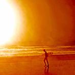 Roberto Cavalli (1971) - Into the wild / #528