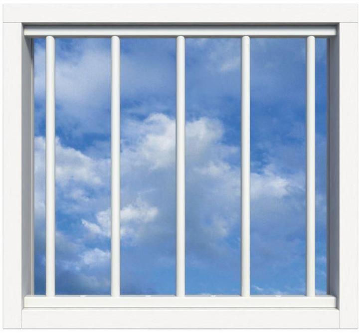 SecuBar Lichtkoepelbeveiliging Fix & Go - 5 spijls 1000x1000, Doe-het-zelf en Verbouw, Overige Doe-het-zelf en Verbouw, Verzenden