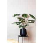 Monstera Deliciosa - kunstplant - 110 cm, Verzenden, Nieuw