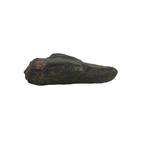 Oud-Romeins Brons mooie Romeinse hondenkop - 0 mm
