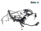 Kabelboom BMW F 900 R 2018-2024 (F900R K83), Verzenden, Gebruikt