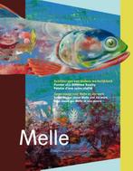 Melle   Schilder van een andere werkelijkheid 9789062168538, Zo goed als nieuw