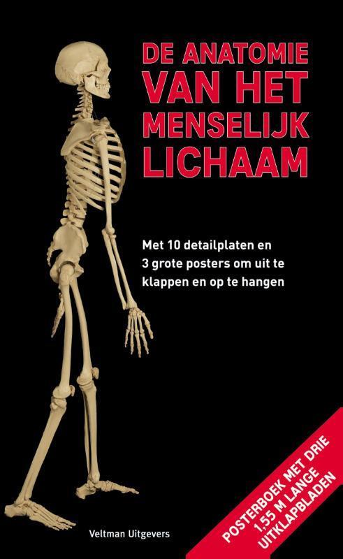 De anatomie van het menselijk lichaam 9789048312627, Boeken, Wetenschap, Gelezen, Verzenden