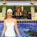 cd - Stone Temple Pilots - Tiny Music...Songs from the Va..., Zo goed als nieuw, Verzenden