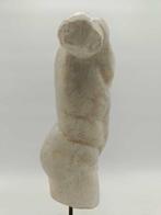 sculptuur, Torso romano senza testa - 45 cm - marmerstof