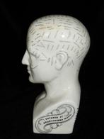 Hoofd ornament - Model Phrenology Hoofd - Dr. L.N.Fowler, Antiek en Kunst