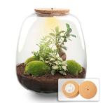 Planten terrarium - Emma - DIY kit -  25 cm - Ø 23 cm - Bon, Verzenden