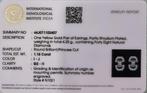 Oorstekers - 14 karaat Geel goud - 1.16ct. tw. Diamant