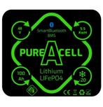 PureAcell Premium Lithium 100Ah 48 volt, Watersport en Boten, Ophalen of Verzenden, Nieuw