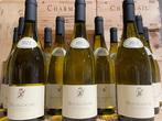 2020 De Rochebin - Bourgogne - 12 Flessen (0.75 liter), Nieuw