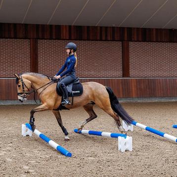 Stackaletti cavaletti blok, set van 6 beschikbaar voor biedingen