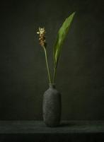 Tessa Posthuma de Boer - Turmeric, Antiek en Kunst