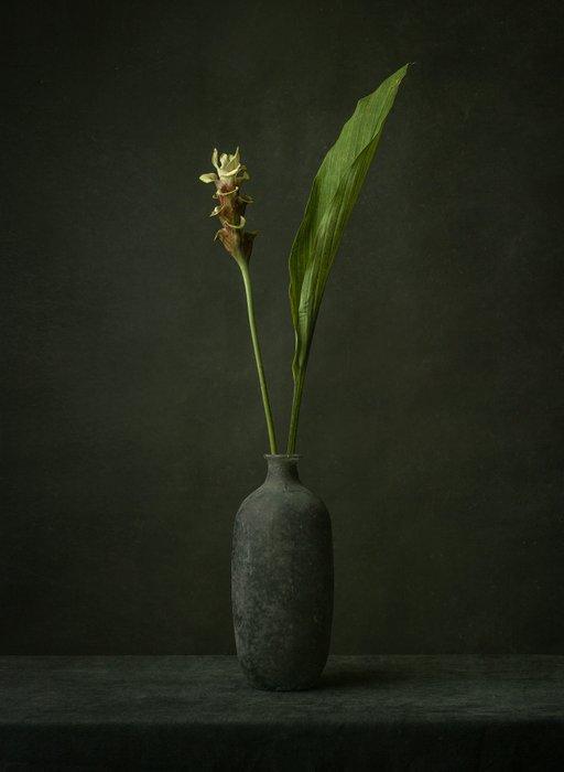 Tessa Posthuma de Boer - Turmeric, Antiek en Kunst, Kunst | Designobjecten