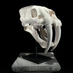 Geen minimumprijs - Een witte replica van een