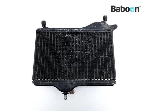 Radiateur Yamaha RD 350 N/F 1986-1990  (1UA/1WT), Motoren, Onderdelen | Yamaha, Gebruikt, Verzenden