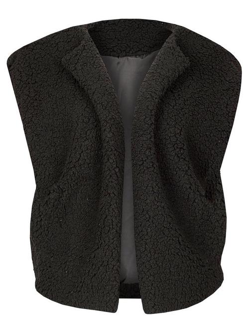 Gilet Teddy Zwart, Kleding | Dames, Truien en Vesten, Verzenden