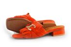 Di Lauro Slippers in maat 37 Oranje | 10% extra korting, Slippers, Overige kleuren, Verzenden, Di Lauro