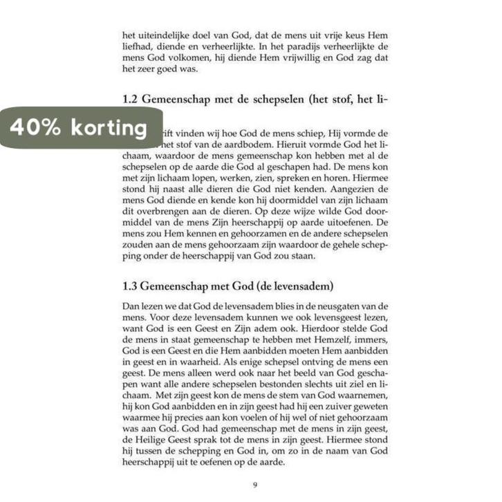 Het Goddelijk Leven 9789086030316 Johan Tichelaar, Boeken, Overige Boeken, Zo goed als nieuw, Verzenden