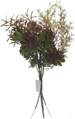 Gemengd Groen corsagevuller voor boeketten of corsages, Ophalen of Verzenden, Nieuw