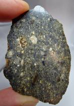 Diogeniet, polymict. (Olivine-bevattend) NWA 17326. - 10.82