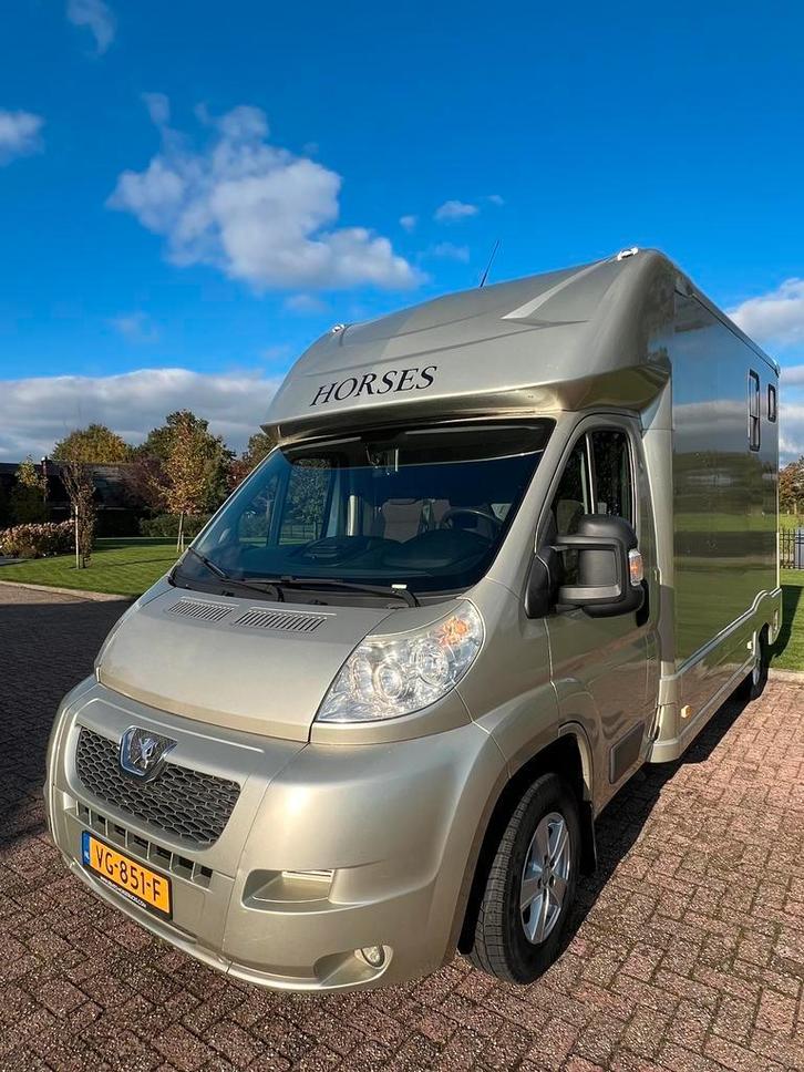 Chique Peugeot paardenwagen in winnaarskleur!, Dieren en Toebehoren, Paarden en Pony's | Trailers en Aanhangwagens, 2-paards trailer