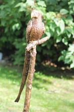 sculptuur, parrot on tree - 78 cm - Brons