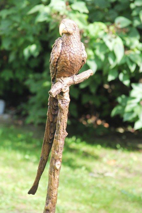 sculptuur, parrot on tree - 78 cm - Brons, Antiek en Kunst, Curiosa en Brocante