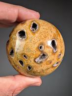 Fossil Coral Bol - Hoogte: 7.5 cm - Breedte: 7.5 cm- 575 g, Verzamelen