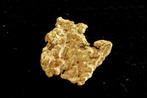 Goud Inheems, Nugget van Suriname of Frans-Guyana, Nieuw