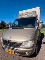 Prachtige Mercedes paardenwagen! Opbouw uit 2017!, Dieren en Toebehoren, Ophalen, Zo goed als nieuw, Polyester, 2-paards trailer