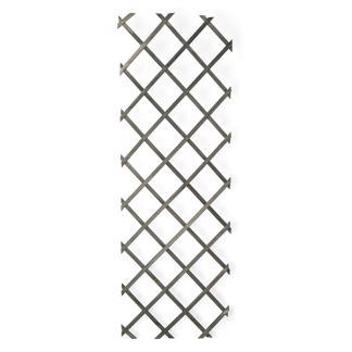 Klimrek planten | Nature | 150 x 50 cm (Hout, Antraciet), Tuin en Terras, Planten | Tuinplanten, Verzenden