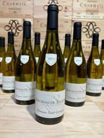 2021 Domaine Saint Germain Bourgogne Aligoté - Bourgogne -, Nieuw
