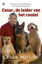 Cesar, de leider van het roedel - Cesar Millan, Melissa Jo P, Nieuw, Verzenden