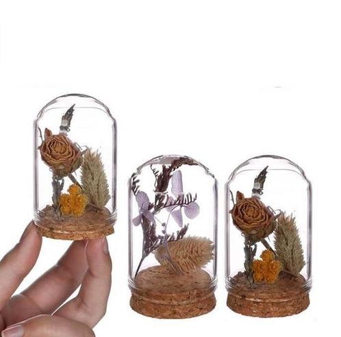 Actie mini dome stolpjes gevuld incl droogbloemen ø4 h.6 cm, Hobby en Vrije tijd, Knutselen, Nieuw, Ophalen of Verzenden