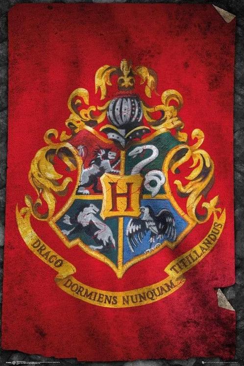 Poster Harry Potter Hogwarts Flag 61x91,5cm, Verzamelen, Posters, Nieuw, A1 t/m A3, Verzenden
