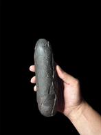 Prachtig dinosaurusfossiel ei - Gefossiliseerd ei -