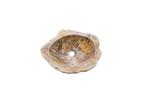 Fossiel Waskom 45x34x14 cm | Versteend Hout, Huis en Inrichting, Verzenden, Nieuw, Wastafelkast