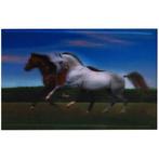 3-d poster galopperende paarden NIEUW, Verzamelen, Posters, Ophalen of Verzenden, Nieuw
