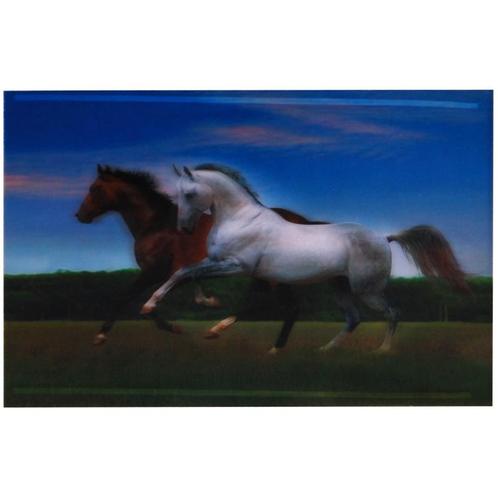 3-d poster galopperende paarden NIEUW, Verzamelen, Posters, Nieuw, Ophalen of Verzenden