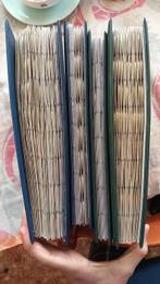 Europa. Euro 1999/2025 (Più di 500 monete) (Zonder